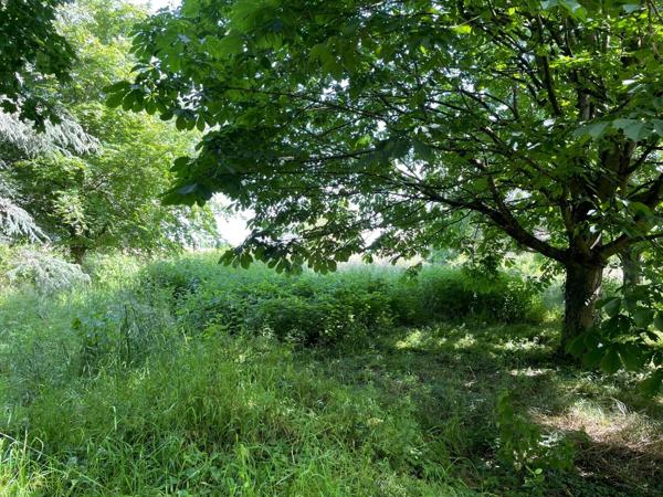 Grand terrain constructible de 3179 m² à Peyzieux-sur-Saône