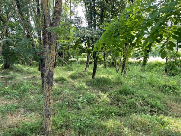 Grand terrain constructible de 3179 m² à Peyzieux-sur-Saône