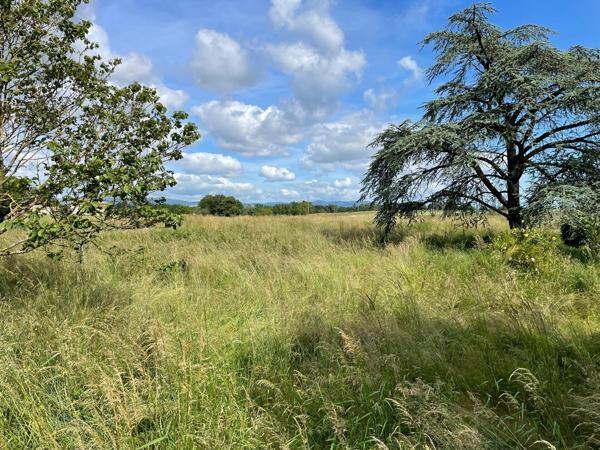 Grand terrain constructible de 3179 m² à Peyzieux-sur-Saône