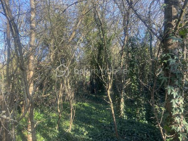 Maison ancienne de 97 m²