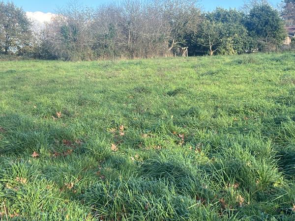 Magnifique terrain constructible de 730m2 dans le bourg de Cognac la Foret