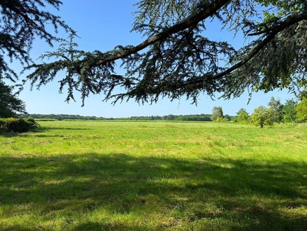 Maison à VILLEBOUGIS, 89150 - 3 pièces 120m²