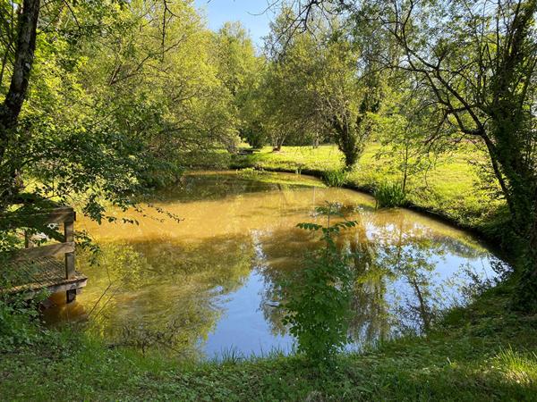 Achat maison près de LES EYZIES - 9 pièce(s) - 245 m² - 1 200 000 €