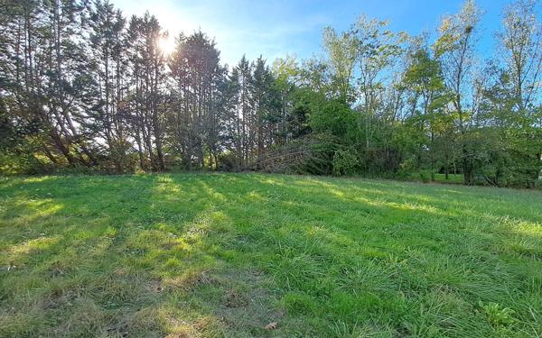 Terrain à vendre    Saint-Nexans