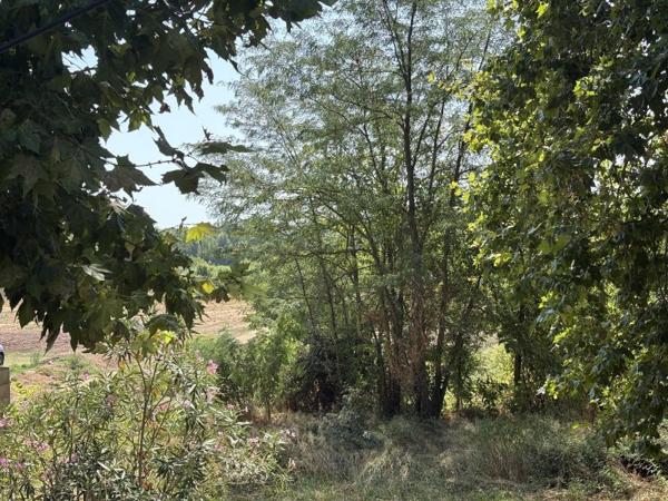 Vente / Maison de village à Canet (34800)