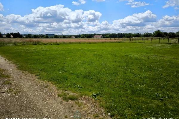 AU CALME, A  5 MIN DE LA ZONE COMMERCIALE, MAISON DE CHARME AVEC PISCINE ET DEPENDANCES