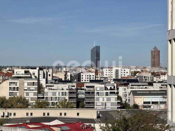Duplex meublé dernier étage 107 m² avec terrasse de 130 m² et piscine, Lyon 7e