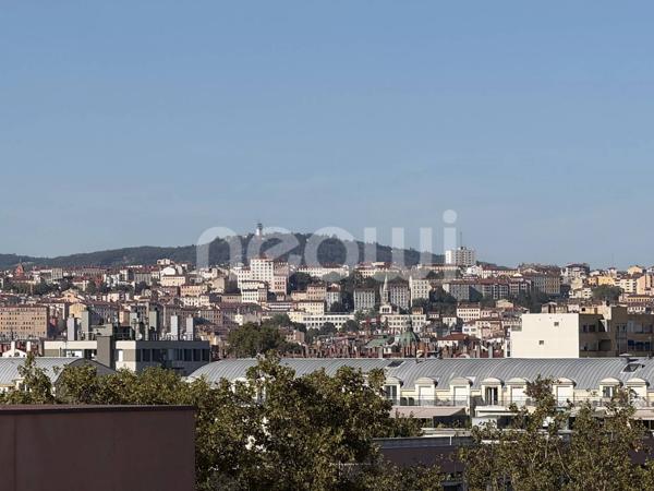 Duplex meublé dernier étage 107 m² avec terrasse de 130 m² et piscine, Lyon 7e