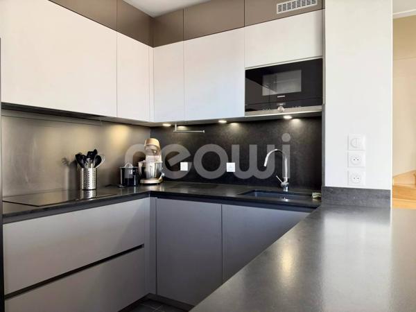 Duplex meublé dernier étage 107 m² avec terrasse de 130 m² et piscine, Lyon 7e
