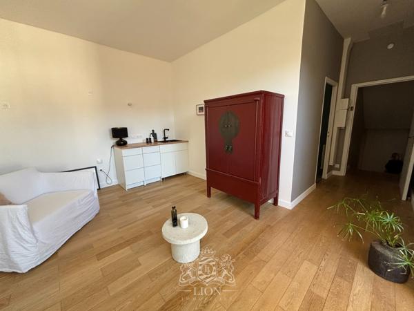 Vieux Lille studio terrasse sur jardin