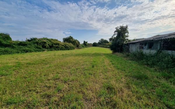 Terrain à vendre
