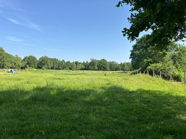 Spacieuse maison de 160m² implantée dans un écrin de verdure de 23000m²