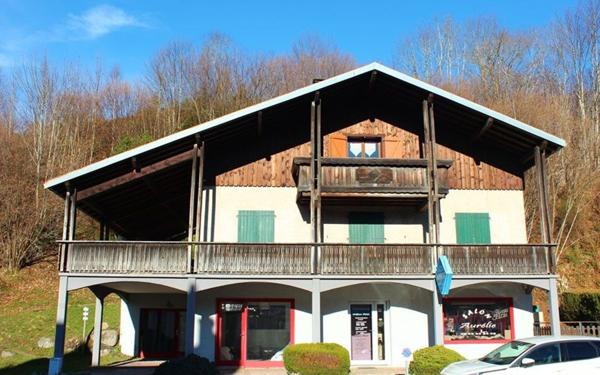 Maison à vendre    8 pièces • 250 m2 Xonrupt-Longemer