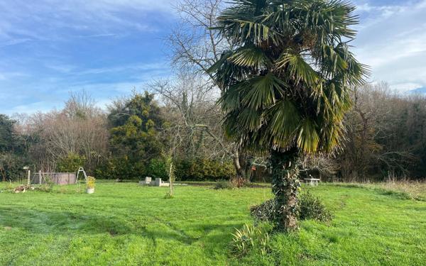 Maison à vendre    4 pièces •  Montpellier-de-Médillan