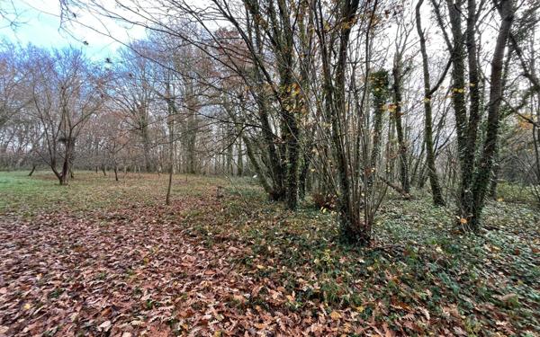 Maison à vendre    4 pièces •  Montpellier-de-Médillan