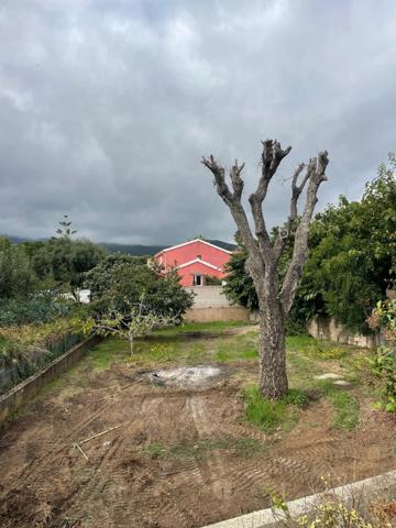 Terrain à vendre de 522,00 m² FURIANI (20)