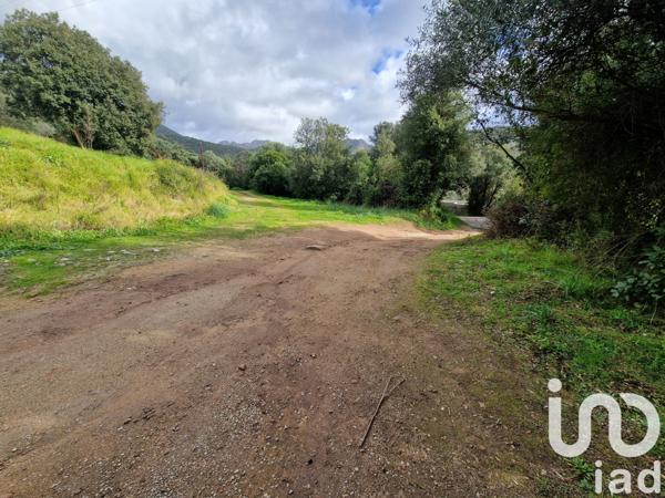 Terrain à vendre 1 084 m² Ocana