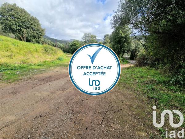 Terrain à vendre 1 084 m² Ocana