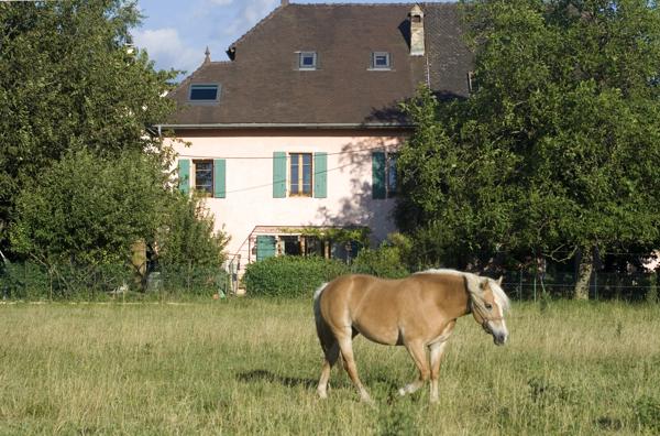 Maison mitoyenne de caractère en pierre – 170 m² – Terrain 600 m² – Fillinges location d'une partie possible.