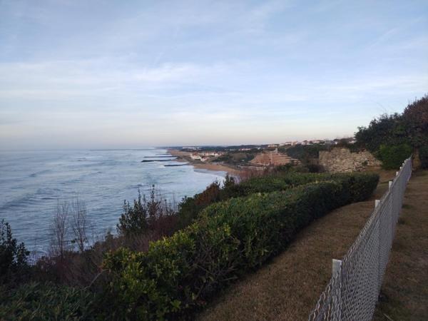 Vente / Appartement T1