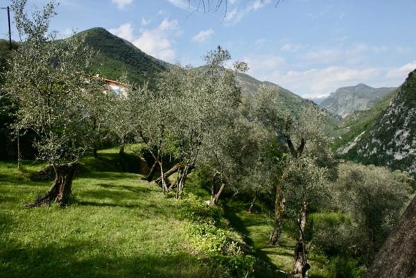 Dpt Alpes Maritimes (06), à vendre Breil sur ROYA Maison 7 pièces sur 2200 m² de terrain belle dégagée sur montagnes