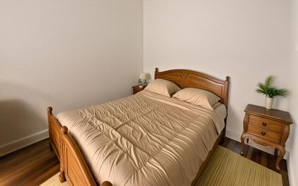 Maison à vendre    3 pièces •  Chabris