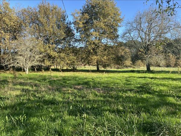 Maison à vendre |  Bazas |  6 pièces | 264 m²