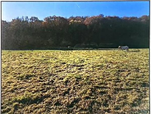 Terrain à vendre de 2 937,00 m² à BENAC (65)