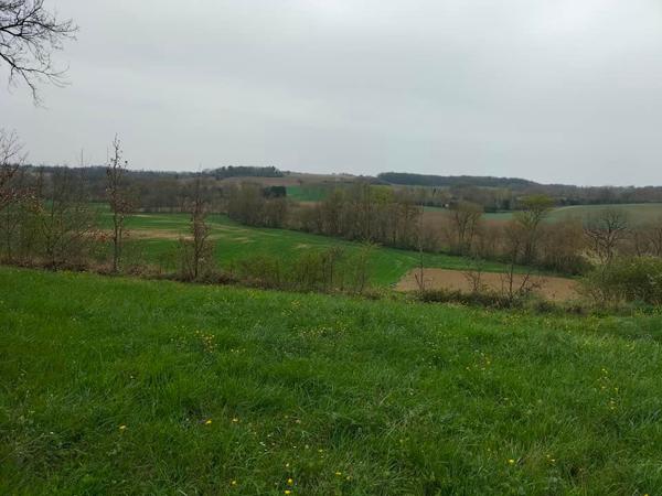 Terrain Avezan 2735 m2
