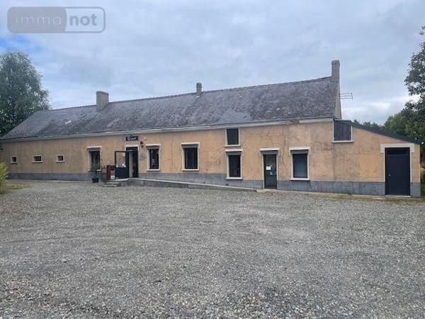 Murs commerciaux à vendre à Écommoy dans la Sarthe (72220), ref : 13816/1071   
LES PORTES DU BELINOIS