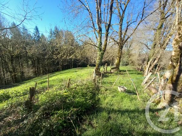 Maison à vendre  5 pièces - 99,44 m 2   MONTREDON LABESSONNIE  - 81