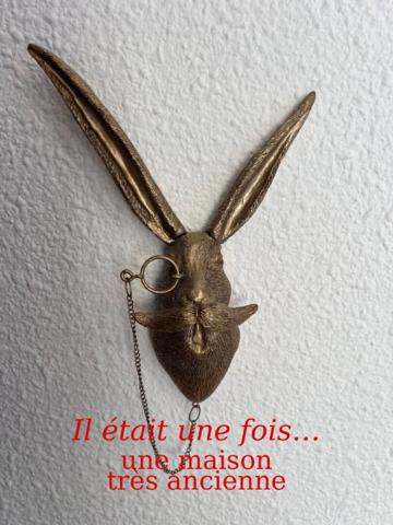 THIZY -LES-BOURGS. Maison ancienne rénovée 6 pièces 162m2 + 305m2 de dépendances + jardin