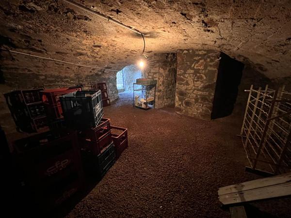 THIZY -LES-BOURGS. Maison ancienne rénovée 6 pièces 162m2 + 305m2 de dépendances + jardin