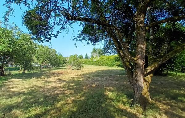 Terrain - À vendre - 1 100 m² - TORCENAY | The Door Man