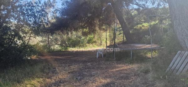 Grande villa T5 avec gite T2 en pleine nature!