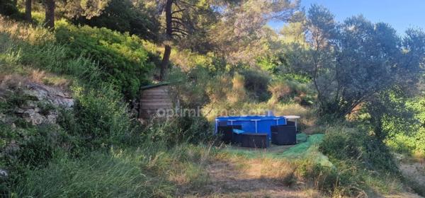 Grande villa T5 avec gite T2 en pleine nature!