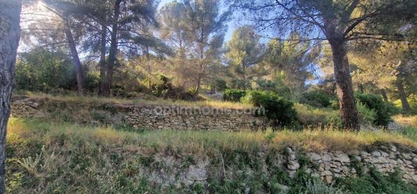 Grande villa T5 avec gite T2 en pleine nature!