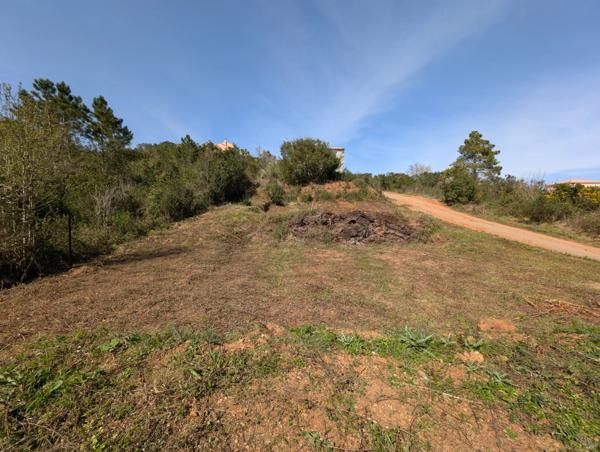Terrain constructible 900m² à Poggio Mezzana
