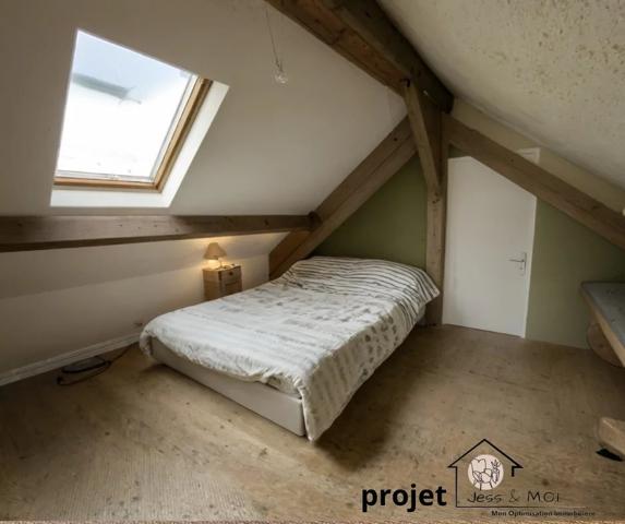 Maison de charme 200 m² / Secteur Clinique Mutualiste Grenoble