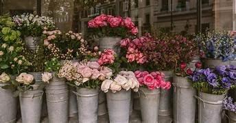 Fleuriste à PARIS 17EME ARRONDISSEMENT (75017)