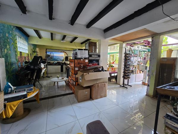 🏠 PÉPITE À BASSE TERRE : Potentiel XXL & Vue Montagne !