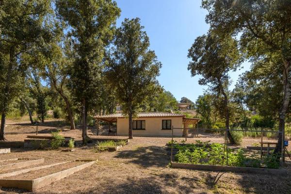 Maison à vendre  8 pièces - 277 m2 PORTO VECCHIO - 201