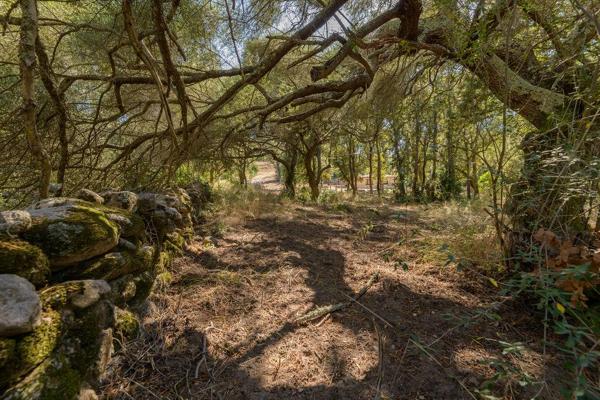 Maison à vendre  8 pièces - 277 m2 PORTO VECCHIO - 201