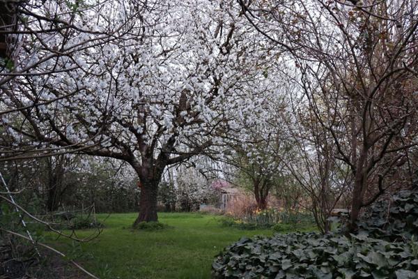 Dpt Ain (01), à vendre proche de MONTREVEL EN BRESSE moulin P28