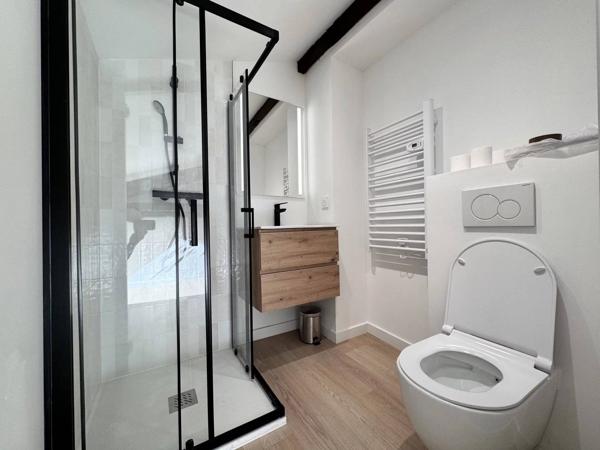 Charmant T3 Duplex rénové avec climatisation - Capitole