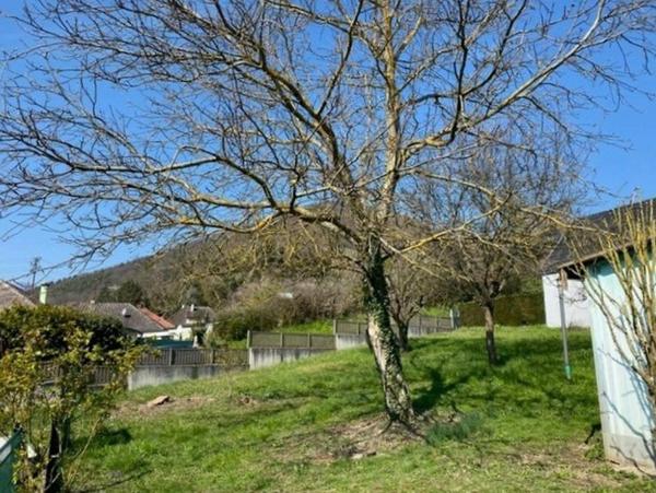 Vente / Maison et grand terrain