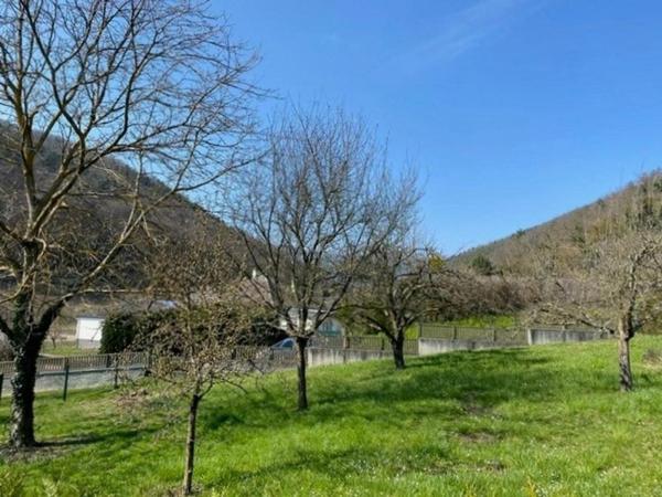 Vente / Maison et grand terrain