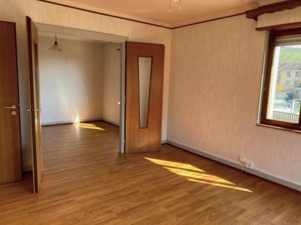 Vente / Maison et grand terrain