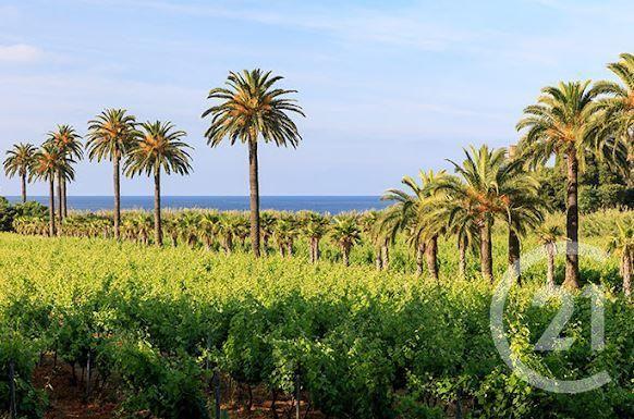 maison à vendre  5 pièces - 182,70 m2 LA CROIX VALMER - 83