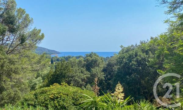 maison à vendre  5 pièces - 182,70 m2 LA CROIX VALMER - 83